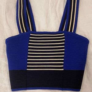 Royal blue black and white striped crop top